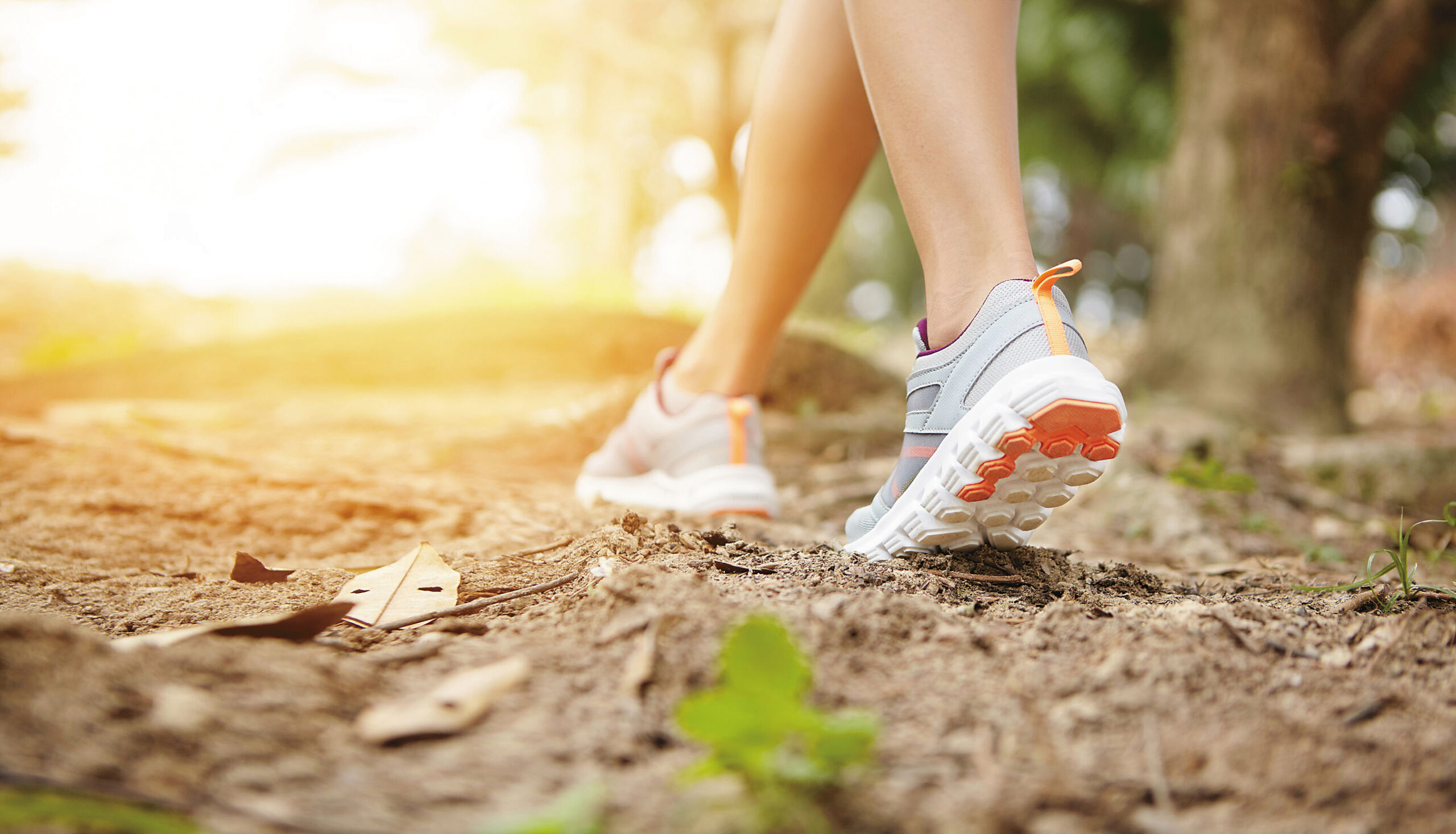 fitinn_bennebroek_header